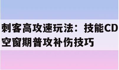 刺客高攻速玩法：技能CD空窗期普攻补伤技巧